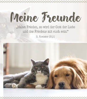 Freundebuch - Meine Freunde